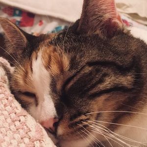 Meet your Posher, Ali